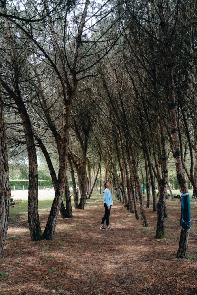 Les jardins de Colette, un voyage bas carbone et nature, une itinérance vélo en Corrèze, Nouvelle Aquitaine