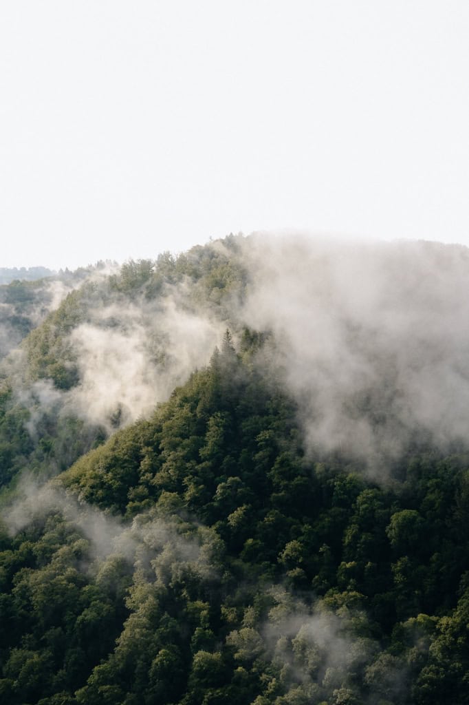 Point de vue de Gratte Bruyère visiter les gorges de la Dordogne en haute corrèze, un voyage bas carbone et nature, en Corrèze, Nouvelle Aquitaine