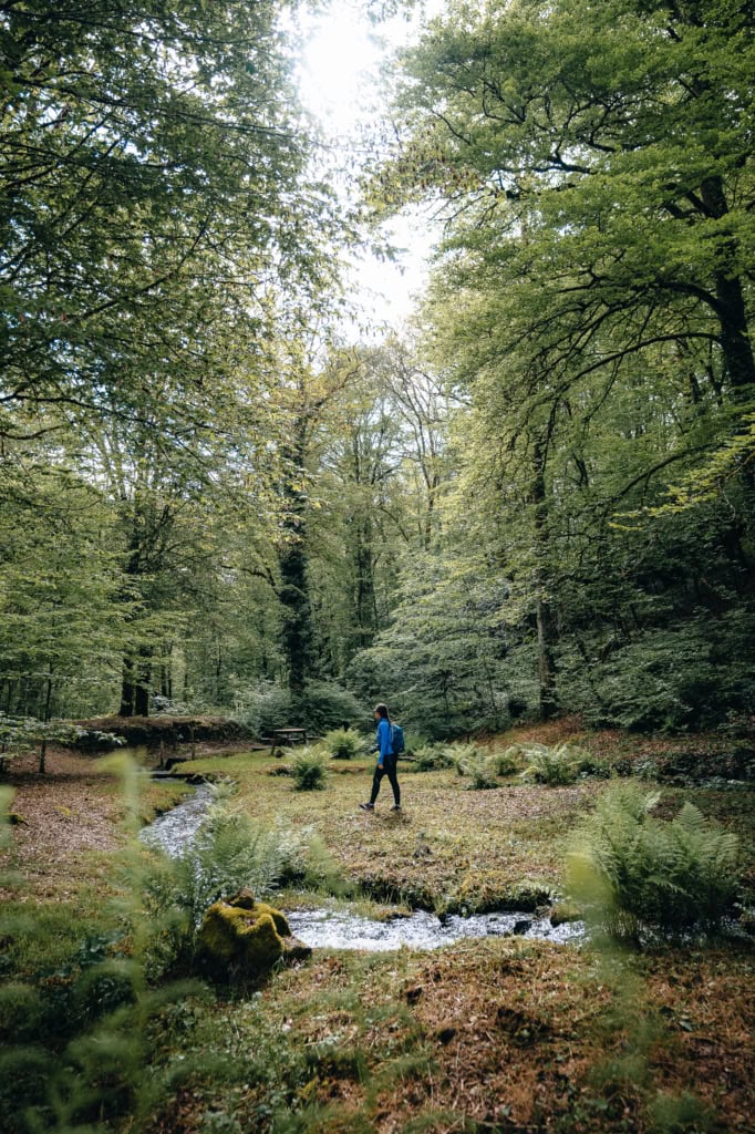 Itinérêve, Randonnée dans les gorges de la Dordogne en haute corrèze, un voyage bas carbone et nature, en Corrèze, Nouvelle Aquitaine