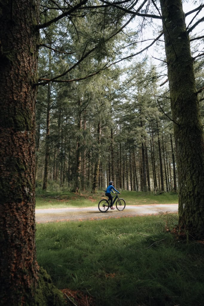 VTT plateau de millevaches en haute corrèze, un voyage bas carbone et nature, en Corrèze, Nouvelle Aquitaine